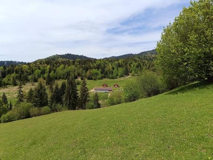 Cabane Areama Neagra Izvoru Muresului Exterior photo